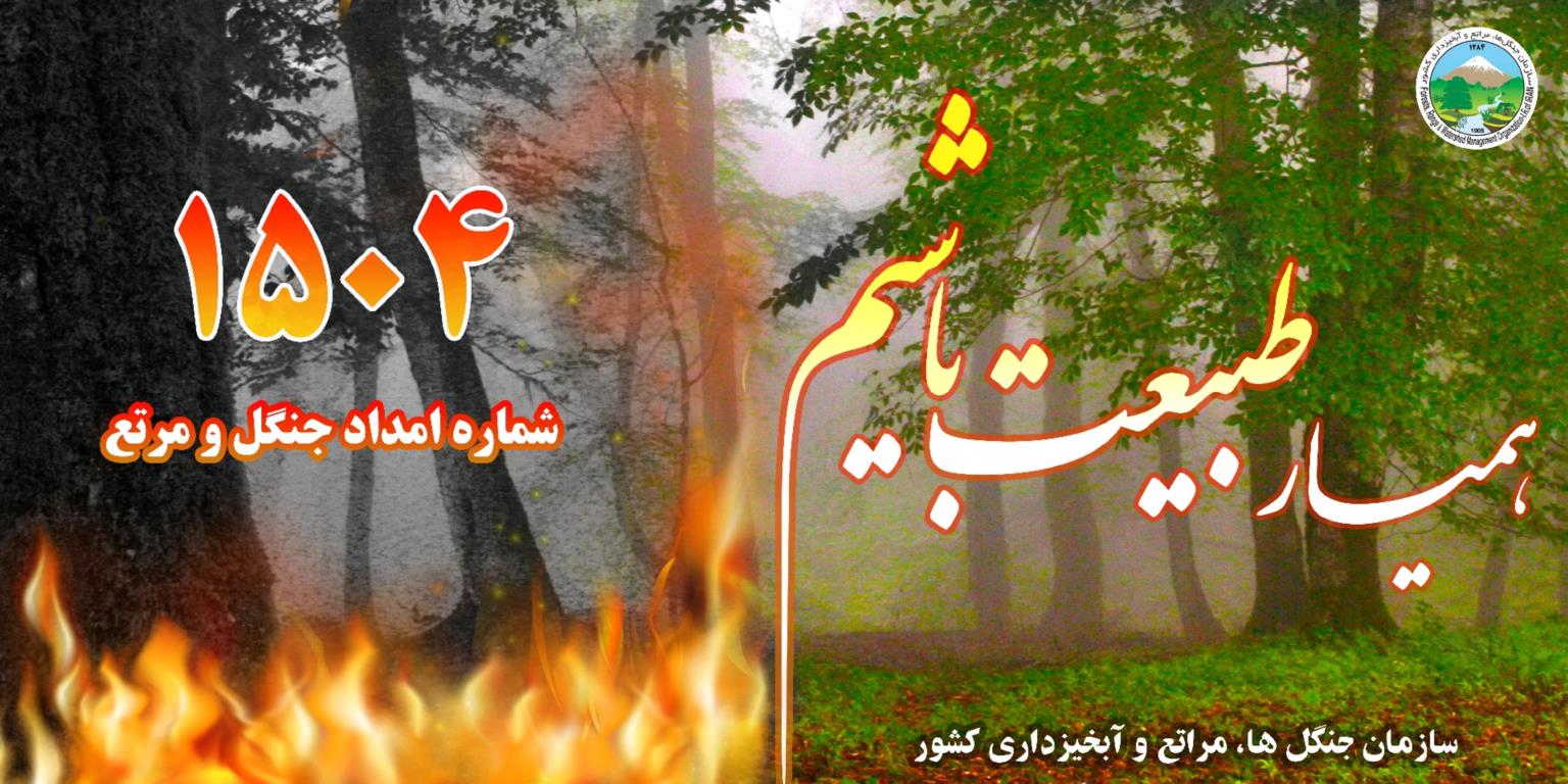 سازمان جنگلها: از روشن کردن آتش در طبیعت خودداری کنید سازمان جنگلها: از روشن کردن آتش در طبیعت خودداری کنید