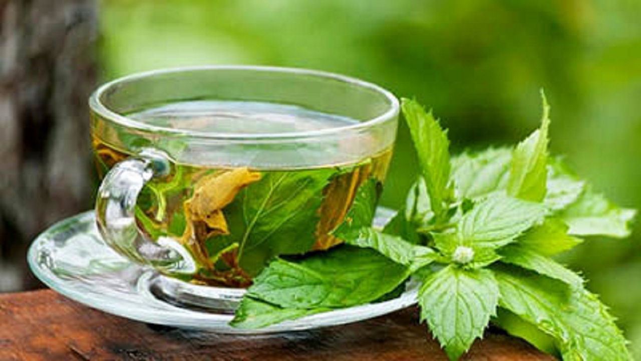 خواص ضد اسپاسم گیاه پونه