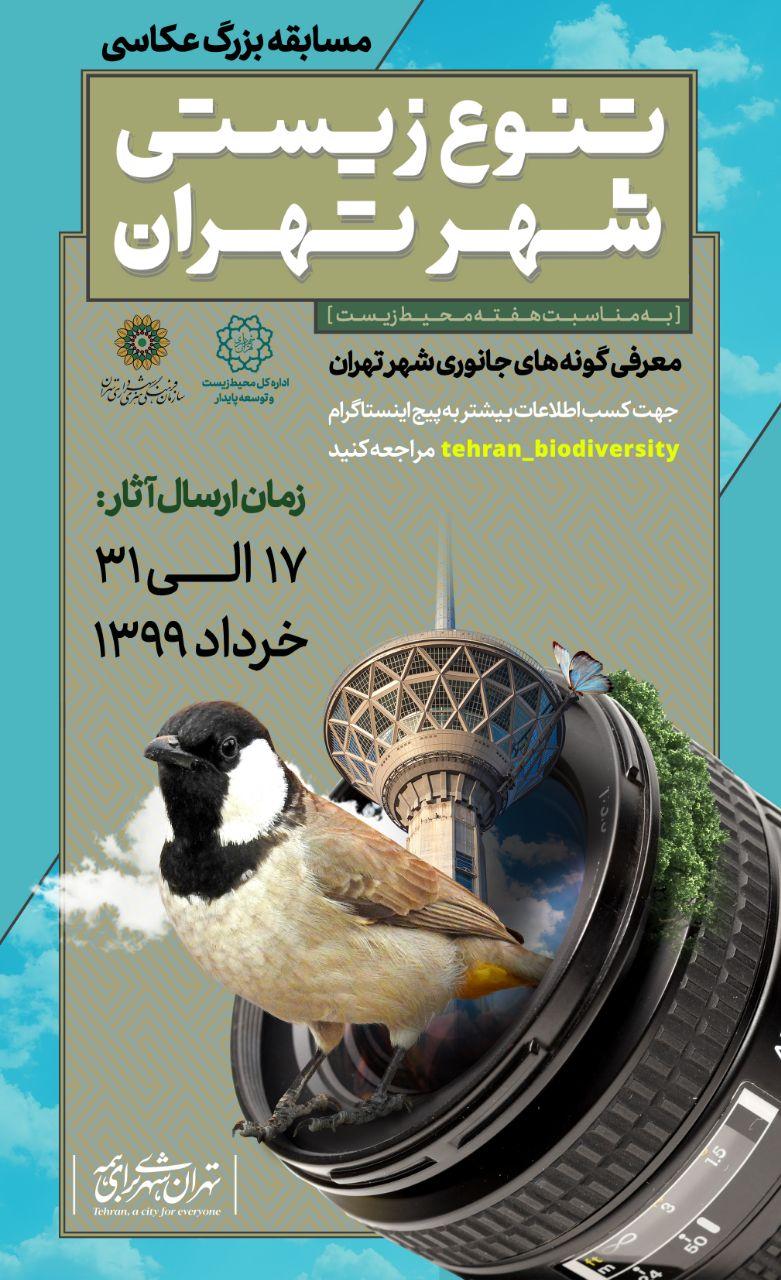 مسابقه بزرگ عکاسی 