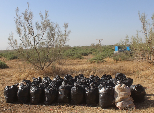 پاکسازی کویر میقان اراک از پسماند پاکسازی کویر میقان اراک از پسماند