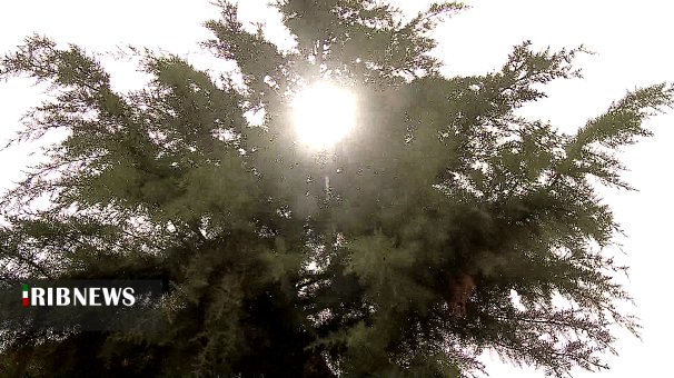 ماندگاری هوای گرم در زنجان