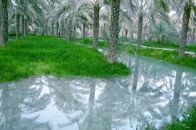 صدای پای بی آبی