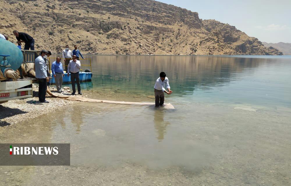 حفظ ذخایر آبزیان با رهاسازی ماهی