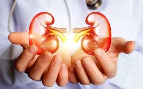 ۳۰۰ کودک بیمارکلیوی، زیر پوشش انجمن حمایت از کودکان مبتلا به بیماریهای کلیوی کشور در مشهد