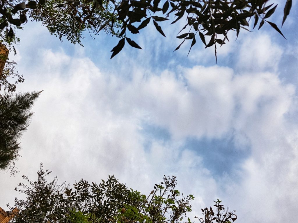 آسمان فارس کمی ابری همراه با بارش های پراکنده