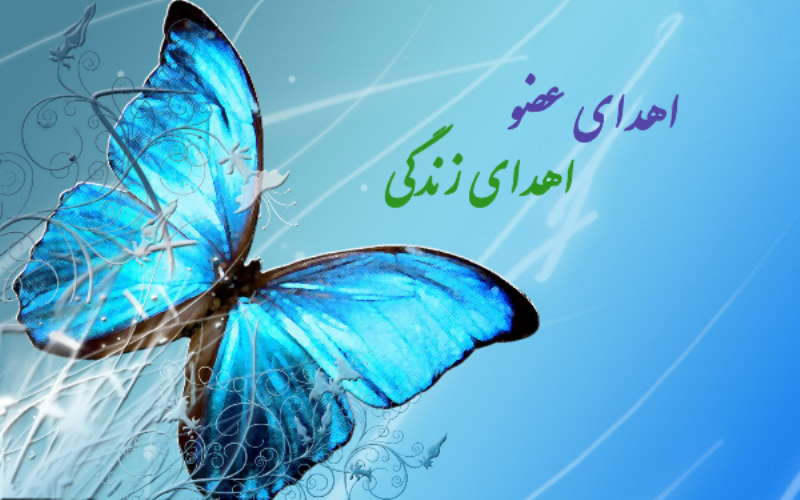 اهدای عضو، اهدای زندگی