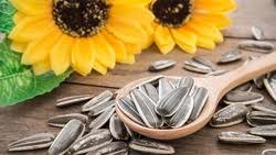 برای تقویت ایمنی بدن کدام مواد غذایی را مصرف کنیم؟