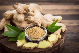 برای تقویت ایمنی بدن کدام مواد غذایی را مصرف کنیم؟