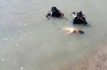 غرق شدن ۳۵ ساله در سد کشه تفرش غرق شدن ۳۵ ساله در سد کشه تفرش