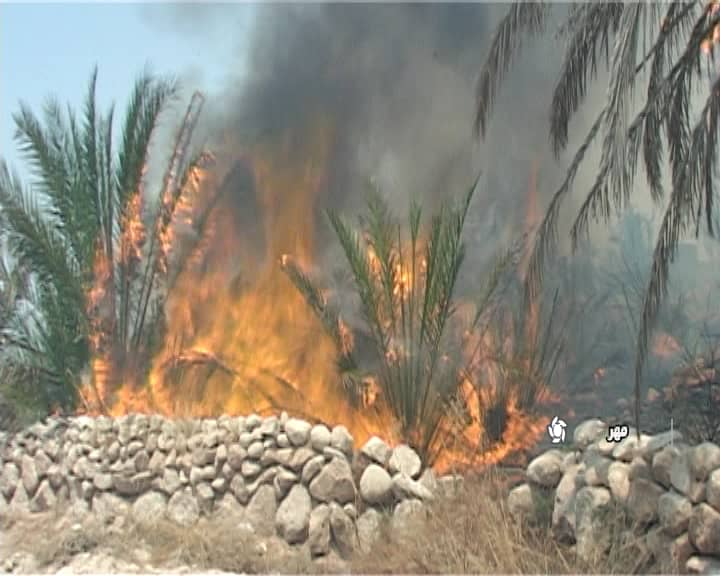 مهار آتش در نخلستان&zwnj;های مُهر