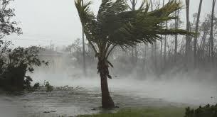 طوفان  وگرد وخاک فردا در کرمان