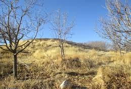 ابلاغ مراتب ثبت ملی ۱۶ اثر فرهنگی&zwnj;تاریخی به استاندار همدان