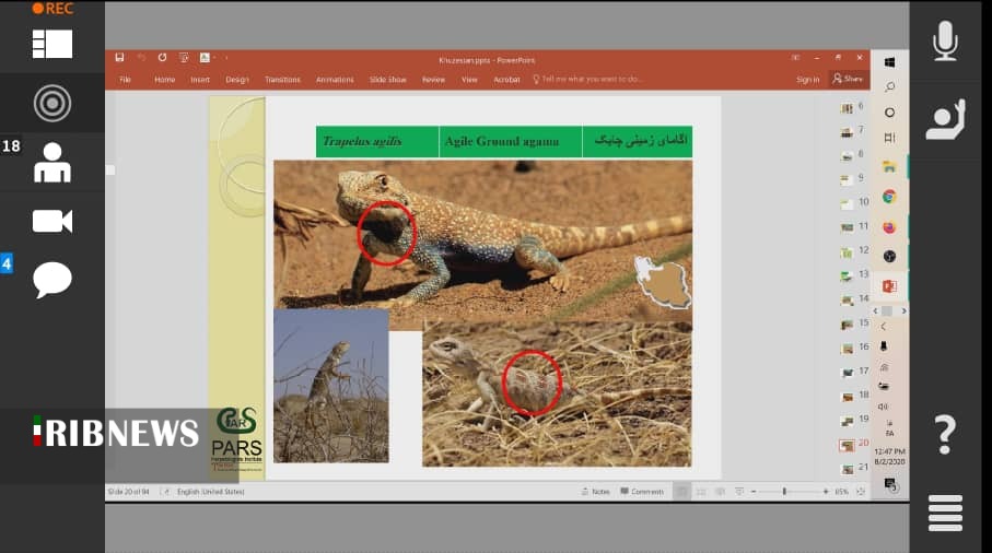 آشنایی بر خط با زندگی خزندگان خوزستان