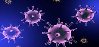 وضعیت نگران کننده کرونا در شهرستان بویراحمد