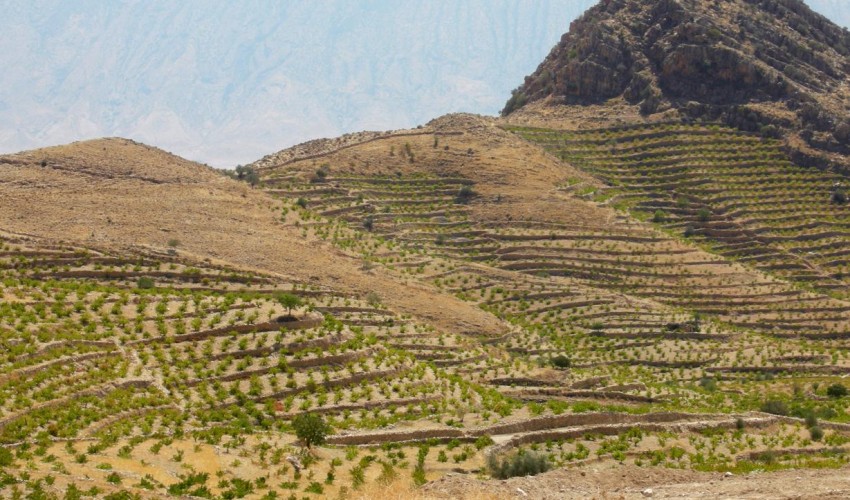 پویش ملی جهاد برای جهش تولید