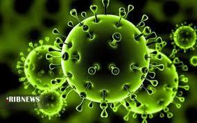 جان باختن ۱۱ بیمار مبتلا به کرونا در استان کرمان جان باختن ۱۱ بیمار مبتلا به کرونا در استان کرمان