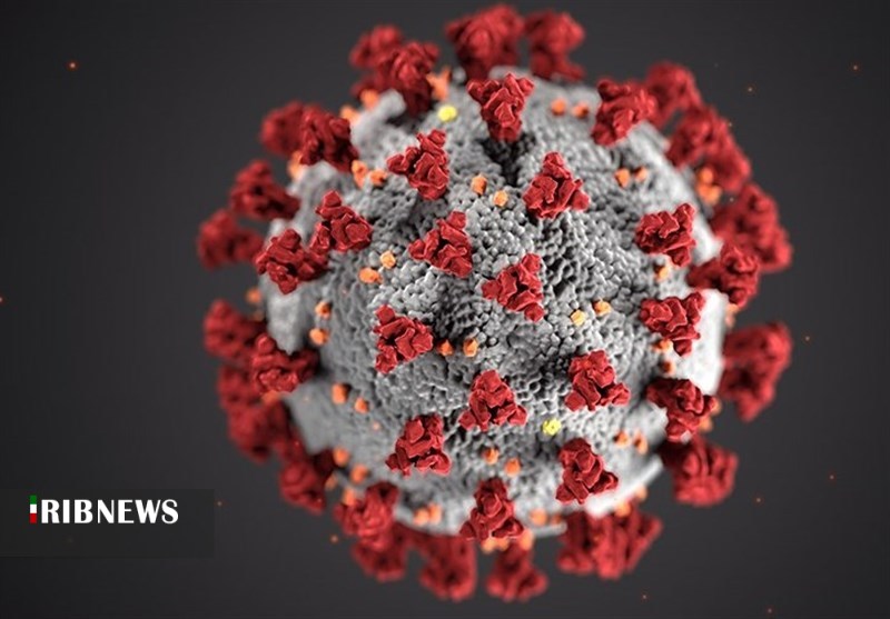 اضافه شدن  12 نفر به آمار مبتلایان به کرونا ویروس بستری شده در استان