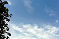 کاهش دما تا روز سه شنبه