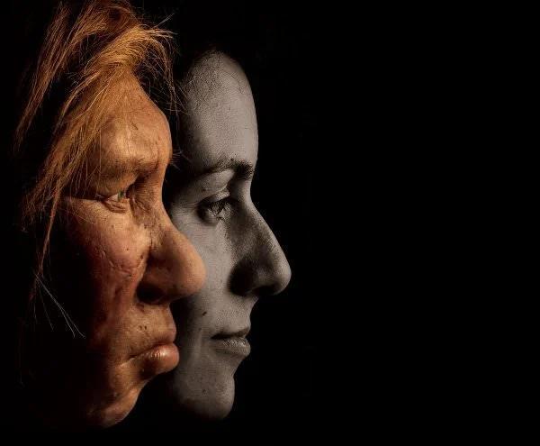 رموز حل&zwnj;نشده&zwnj; انسان&zwnj;های اولیه