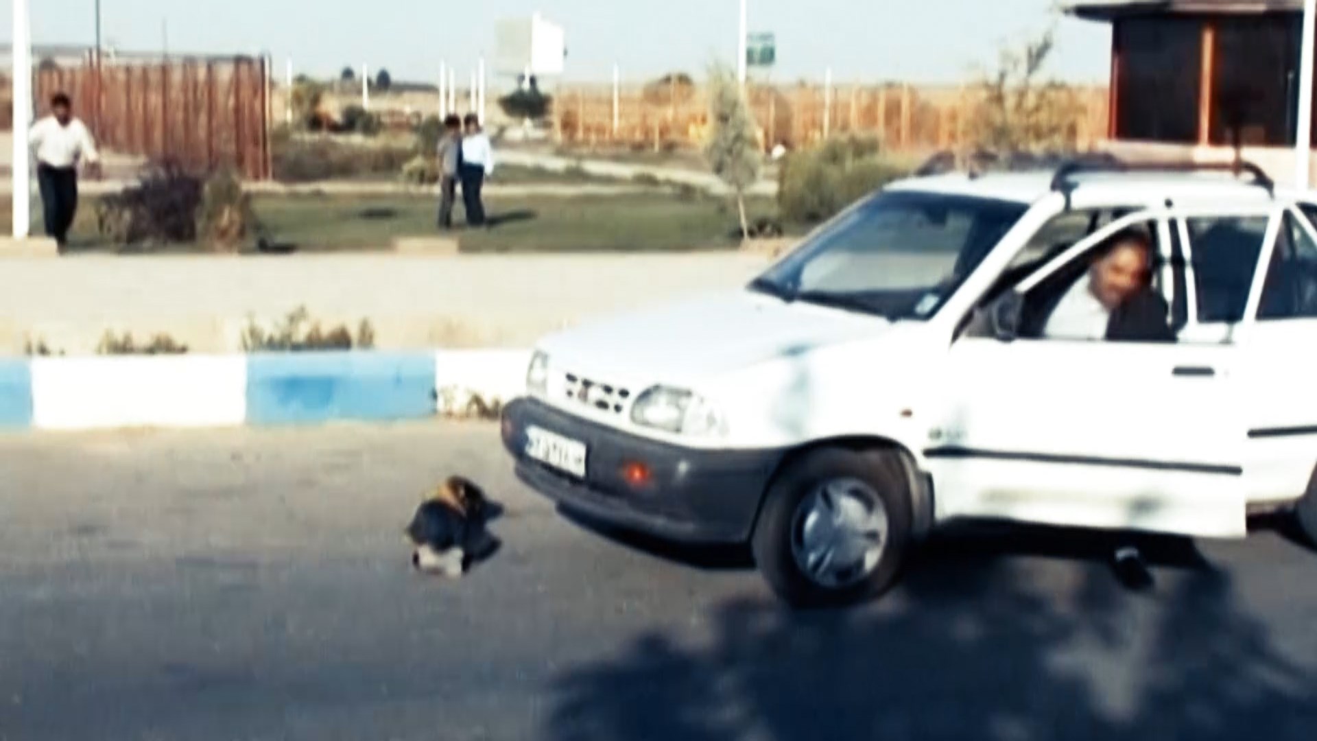 وقتی کرونا زندان را باز می کند