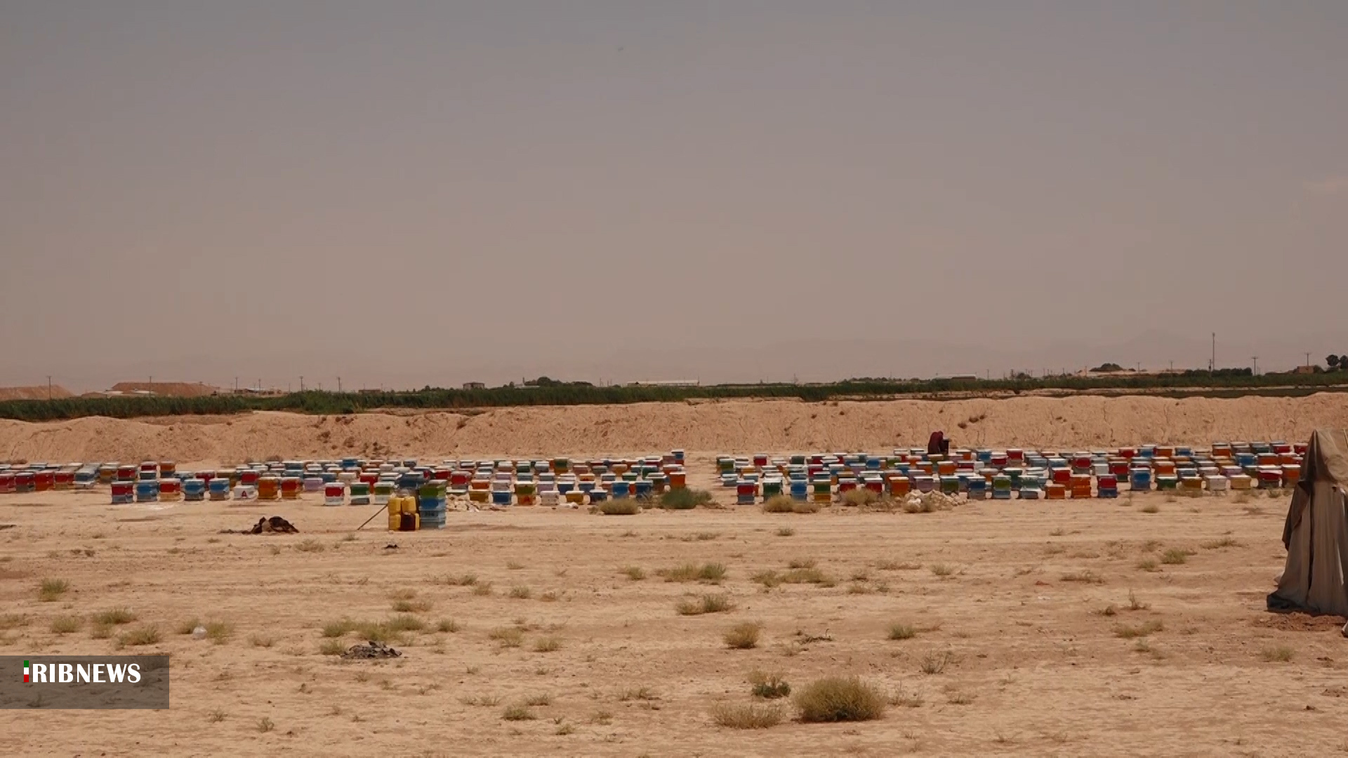 نیشِ نوش