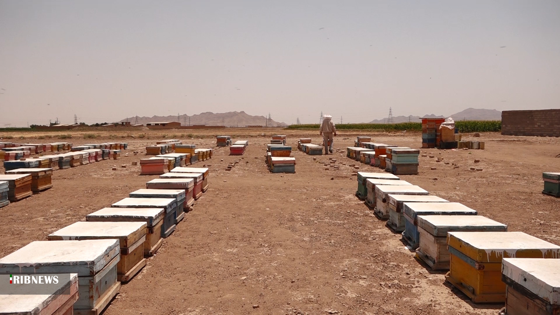 نیشِ نوش