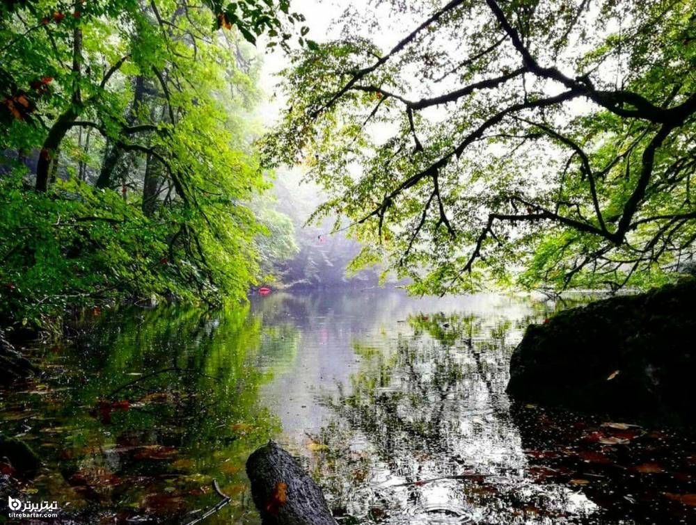 بوم گردی با صفا در دریاچه فراخین