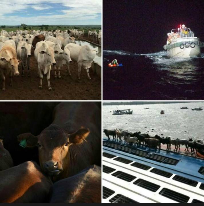 حوادث جهان از دریچه دوربین