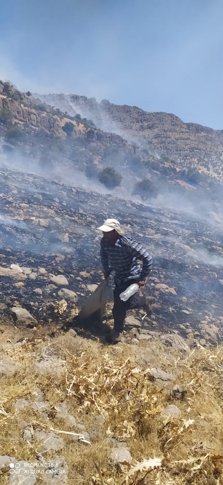 آتش همچنان زبانه می کشد