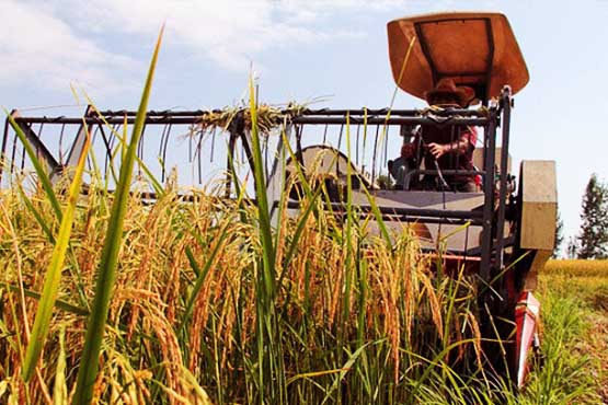 پرداخت تسهیلات برای توسعه کشاورزی ماشینی