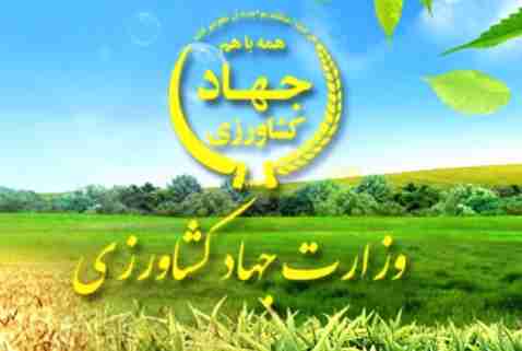 تاکید بر تولید محتوای کیفی و هدفمند در وزارت جهاد کشاورزی تاکید بر تولید محتوای کیفی و هدفمند در وزارت جهاد کشاورزی