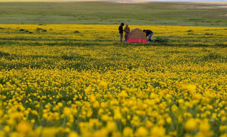 بزرگ&zwnj;ترین دریاچه آب شیرین کشور