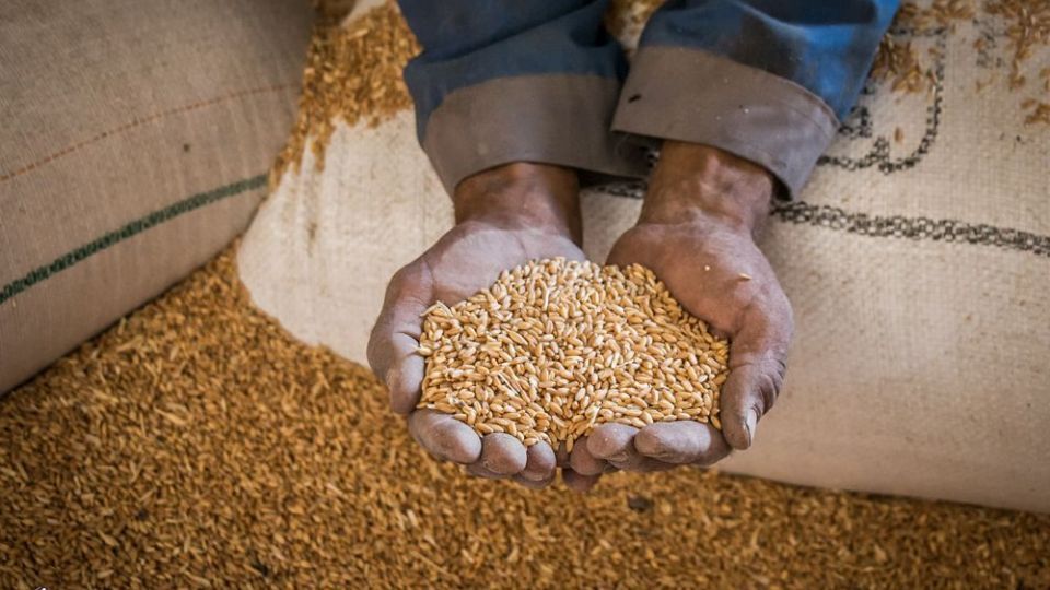 یک خرمن نعمت یک دنیا شکرانه