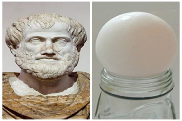 اندر احوالات تخم مرغ در فضای مجازی اندر احوالات تخم مرغ در فضای مجازی