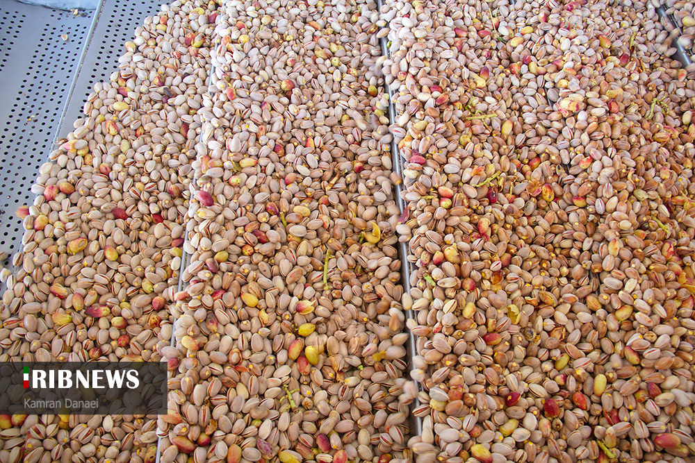 اقتصاد به روایت تصاویر ۱۲ مهر ۹۹