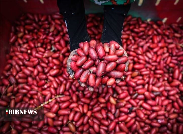 اقتصاد به روایت تصاویر ۱۵ مهر ۹۹