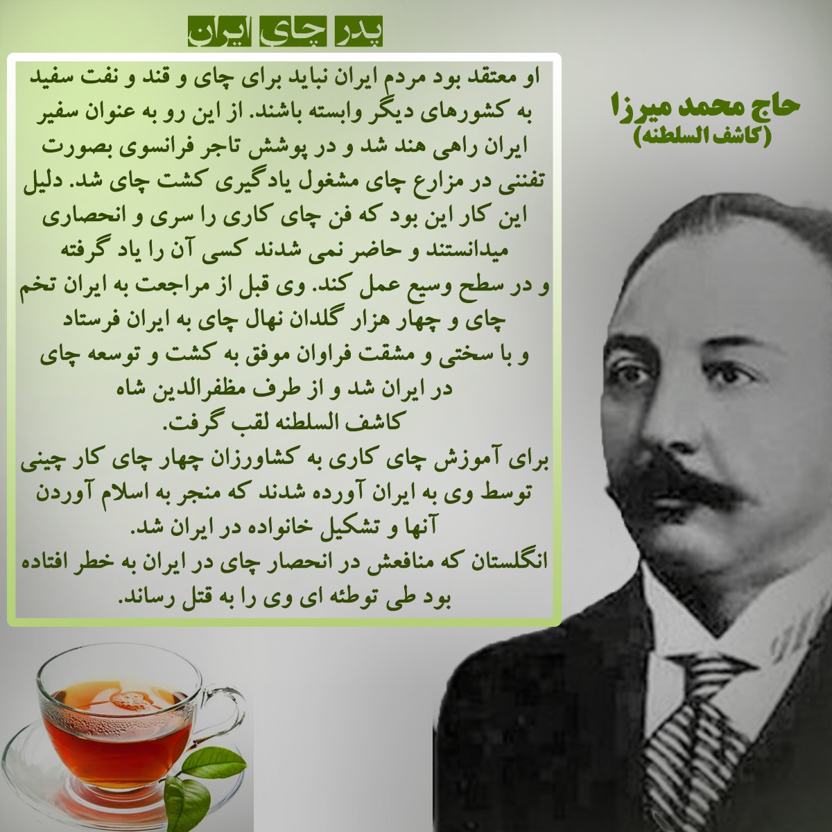 ماجرای ورود چای به ایران