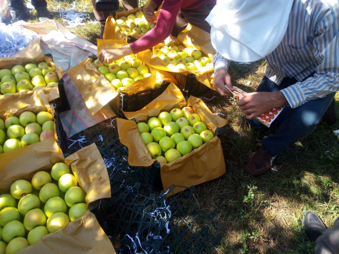 برچسب خارجی بر دسترنج باغدار ایرانی