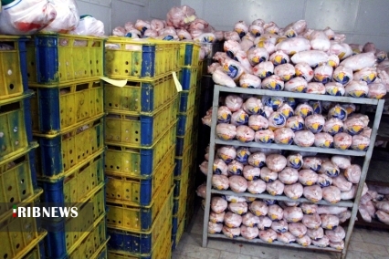 آغاز توزیع روزانه ۱۰ تُن مرغ منجمد