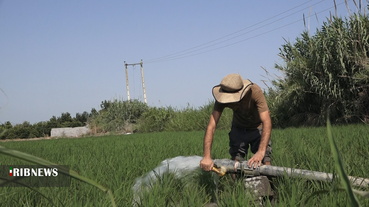 دانش بومی در خدمت کشاورزی یک روستا