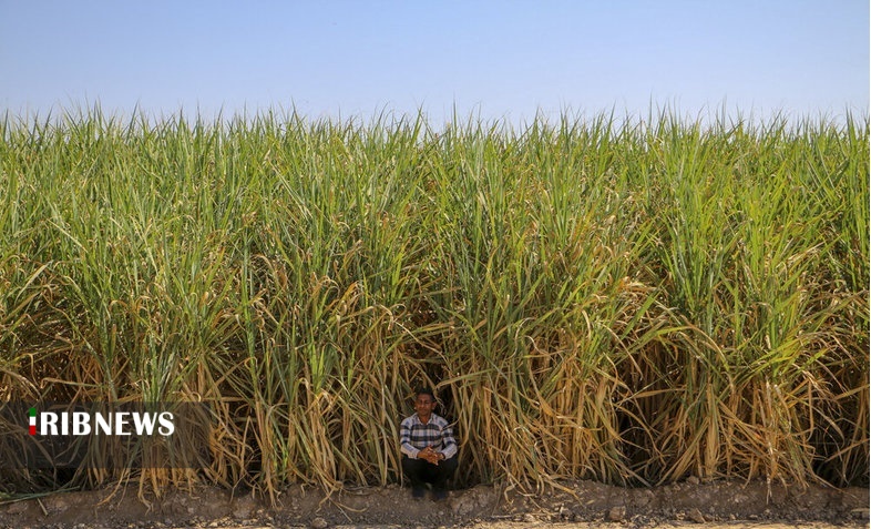 اقتصاد به روایت تصاویر ۱ آبان ۹۹