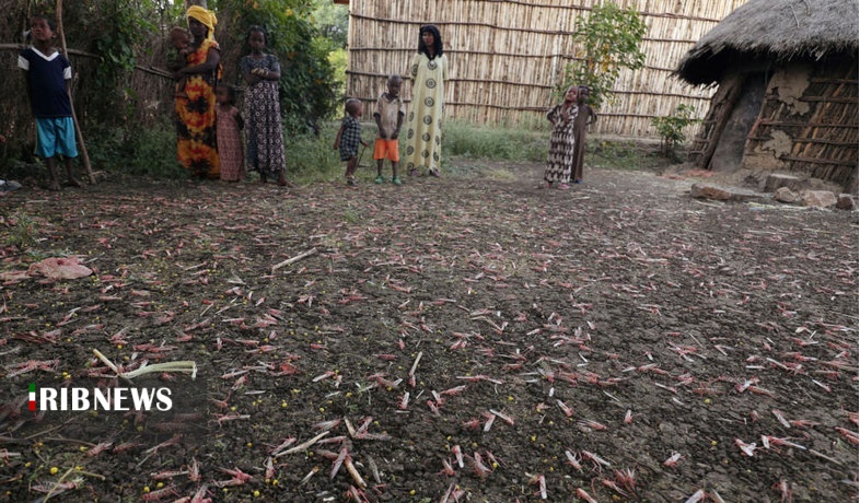 اقتصاد به روایت تصاویر ۱ آبان ۹۹