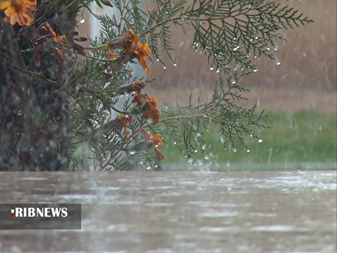 روی خوش باران به پاییز زنجان