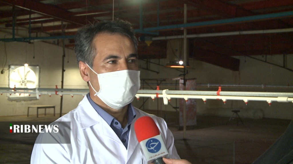 موردی از بیماری آنفلوآنزای فوق حاد پرندگان مشاهده نشده است