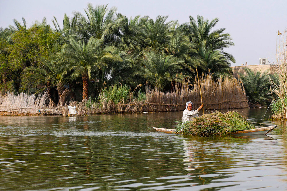 خطری بیخ گوش همه...