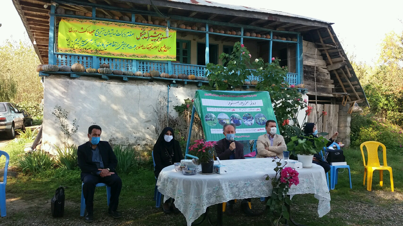 تولید سالانه بیش از 200 متر مکعب چوب صنوبر