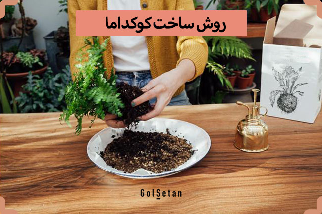 آموزش تصویری ساخت کوکداما (باغ معلق)