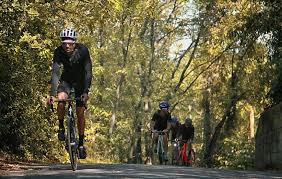 سرزندگی با دوچرخه سواری ايمن