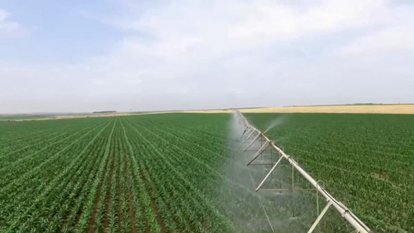 بیش از پنج هزار هکتار از اراضی اردبیل به سامانه آبیاری نوین مجهز شد