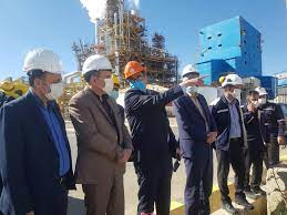 گزارش مکتوب:ماهی‌ها، زِنده زِنده مُردند